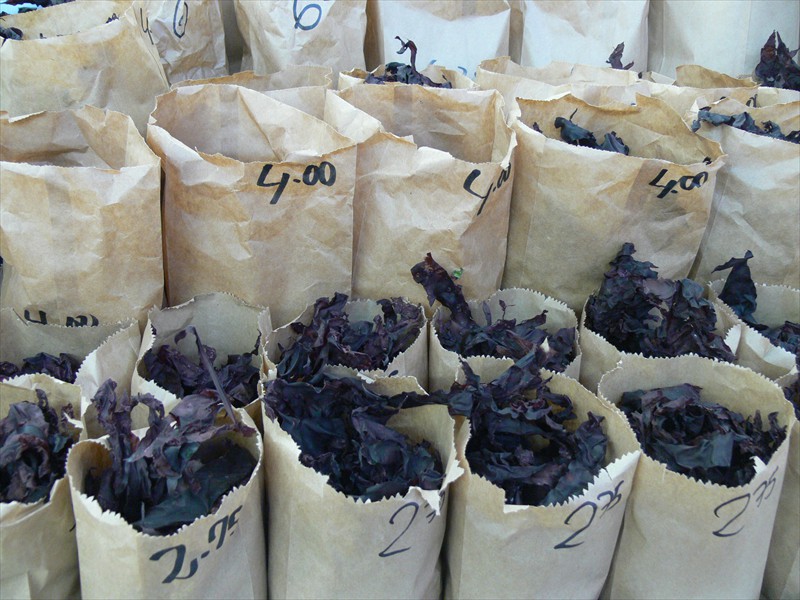 Dulse for sale